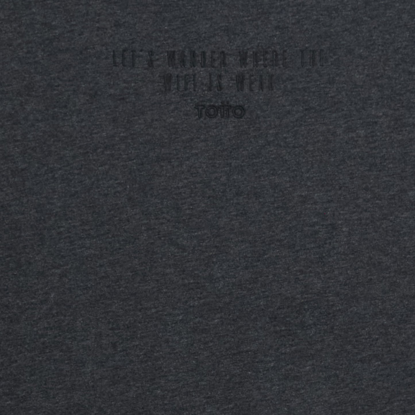 Camiseta para Hombre Primen Gris