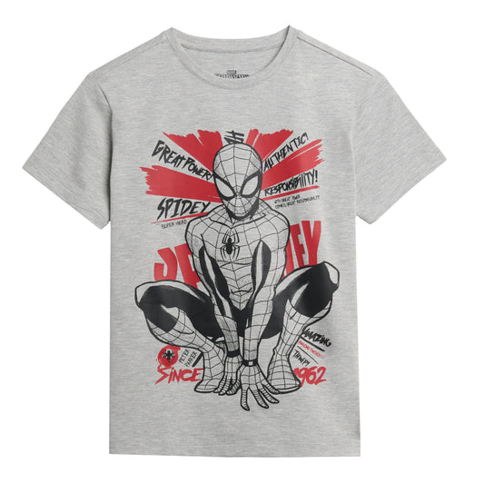 Camiseta do Homem-Aranha para meninos, cinza